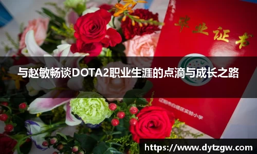 与赵敏畅谈DOTA2职业生涯的点滴与成长之路